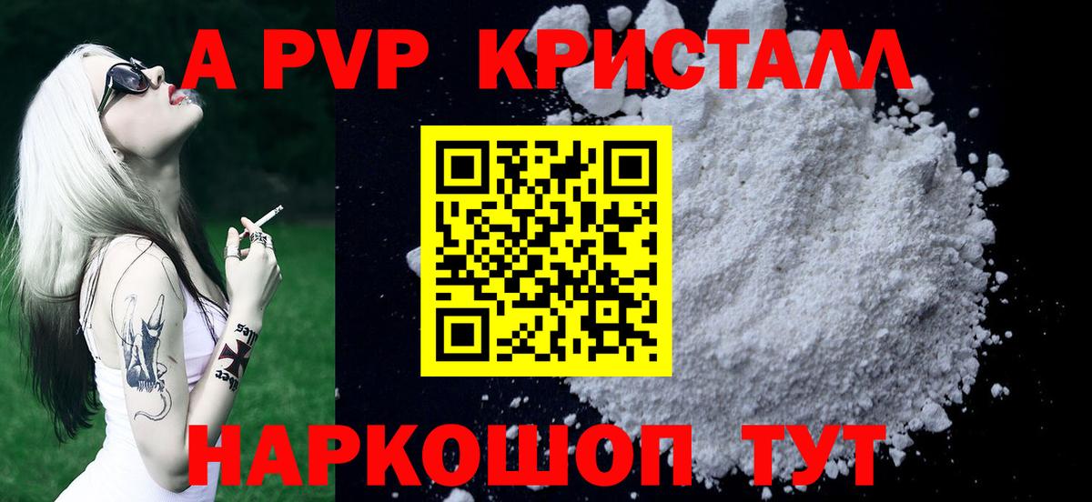 Alfa_PVP СК Туапсе